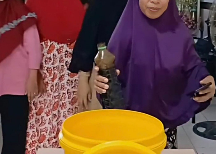 Gelorakan Kampung Wisata Edukasi, Kelurahan Krembangan Utara Olah Sampah Organik Jadi Eco Enzyme