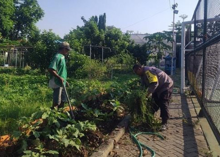 Kapolsek Rungkut Apresiasi Langkah Poktan Tugu RW 09 Manfaatkan Lahan Produktif demi Ketahanan Pangan