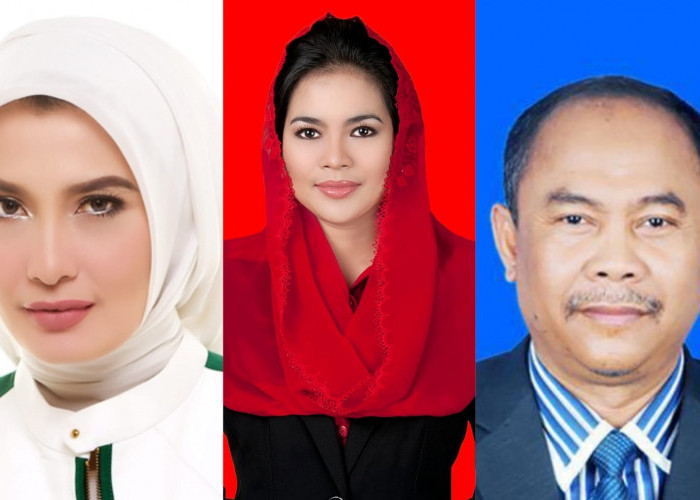 DPR RI Jatim 1 Berpeluang Diisi Incumbent Kembali: Puti, Sungkono, Adies, Indah Kurnia, dan Arzeti