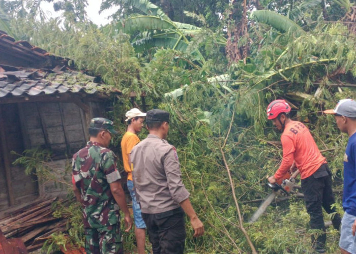 Sigap! Polisi Ngawi Bantu Warga Terdampak Angin Puting Beliung di Tambakromo Padas