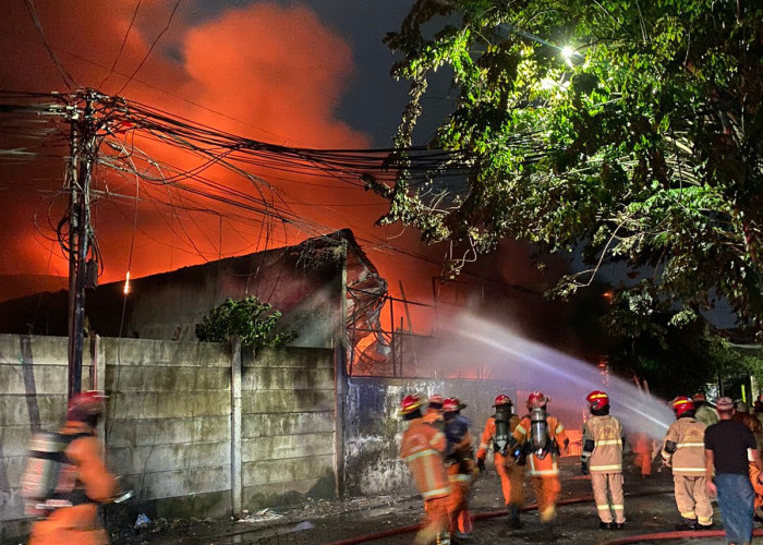 Gudang Spon Ludes Terbakar di Simorejo Sari, Dua Truk Hangus