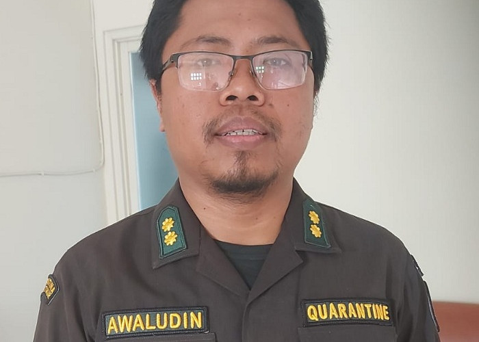 Karantina Tanjung Perak Perketat Pemeriksaan Ternak Jelang Iduladha