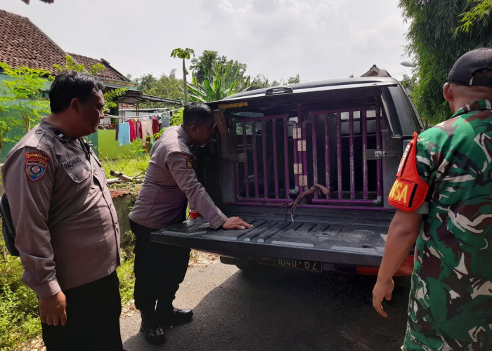 Polres Mojokerto Evakuasi Anjing yang Meresahkan Warga di Ngoro