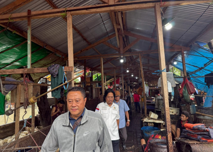 Karut-Marut Proyek TPS Pasar Keputran Selatan, DPRD Komisi B: Mirip Kandang Ayam