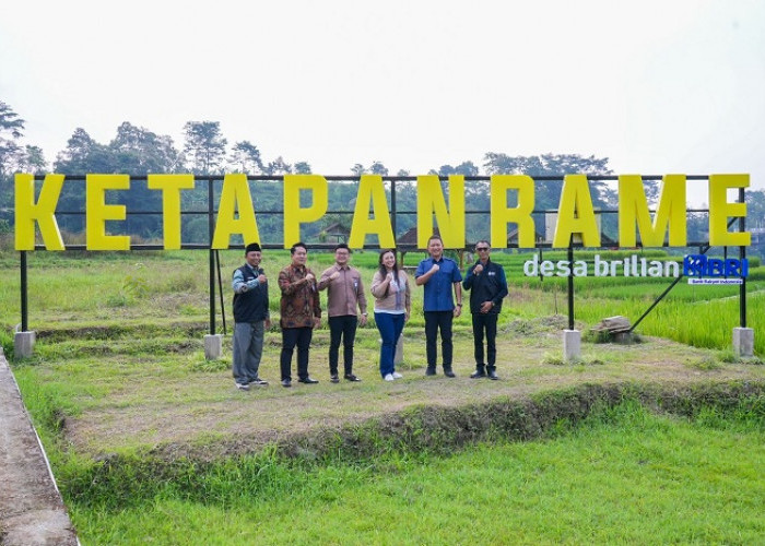Desa BRILiaN Ketapanrame, Bukti Pemberdayaan Berbasis Potensi Lokal Mampu Ciptakan Ekonomi Desa yang Maju