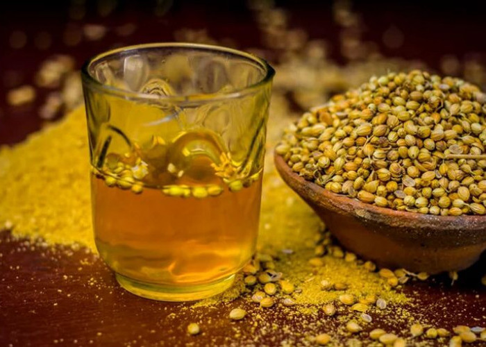 4 Manfaat Minum Air Rebusan Ketumbar