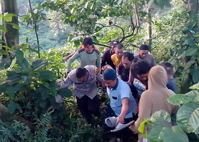 Niat Boyong Mobil Baru, Rombongan Asal Jakarta Malah Terjun Bebas ke Jurang Gumitir