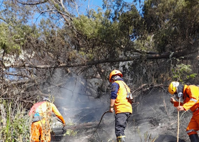 Karhutla Gunung Bromo Meluas ke Penanjakan dan Pakisbincil Pasuruan