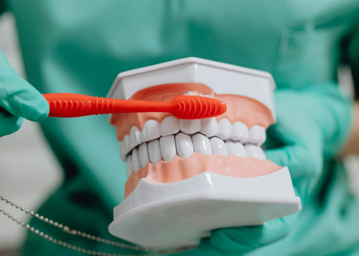 Inilah Ramuan Alami untuk Mengatasi Nyeri Sakit Gigi