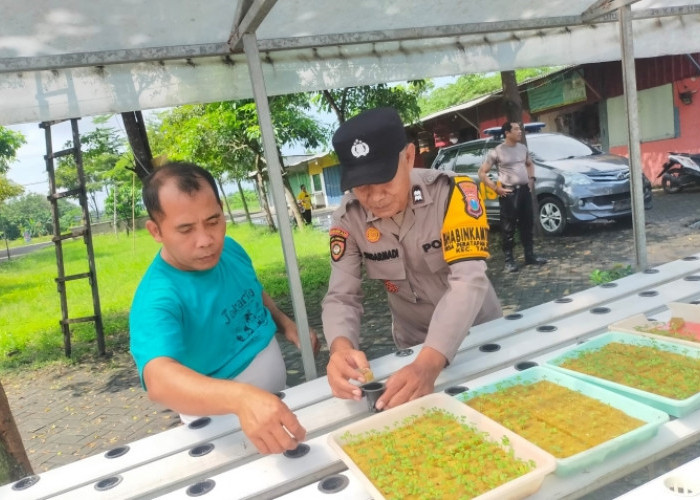 Tanam Sayur Hidroponik, Warga Pertapanmaduretno Taman Diapresiasi Polisi
