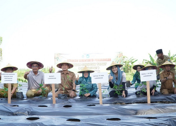 Tekan Inflasi Cabai, Pemkab Lamongan Canangkan GAS PAK CAMAT di 27 Kecamatan
