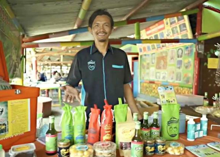 Pesisir Timur Surabaya Memberi Sejuta Manfaat, Buah Mangrove Jadi Sumber Perekonomian