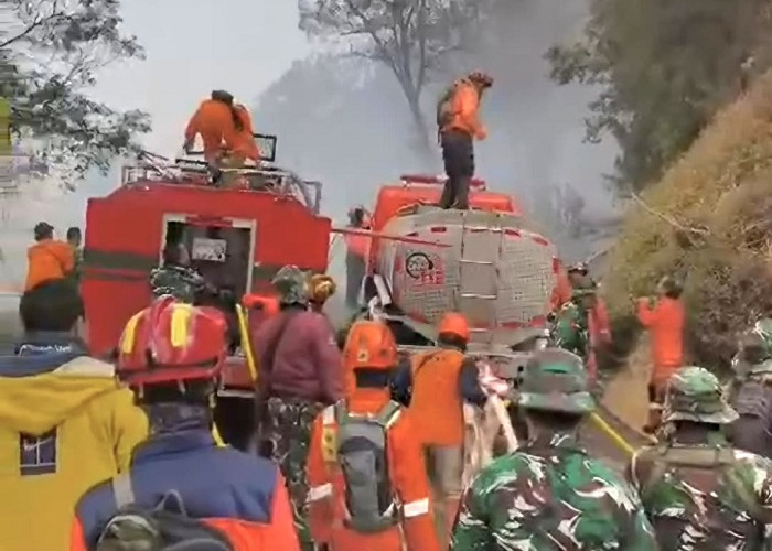 Tim Gabungan Padamkan Karhutla di Kawasan Dingklik Bromo Pasuruan