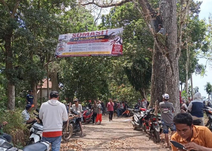 Protes Berujung Intimidasi, Tokoh Tani Lumajang Diseret Paksa dan Diancam Tali Tampar oleh Kubu Perusahaan