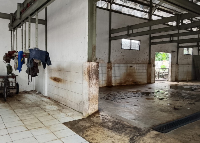 Surat Edaran Tak Digubris RPH Jombang Sepi Aktivitas