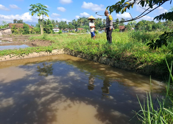 Bhabinkamtibmas Polsek Genteng Bina Peternak Ikan Nila di Desa Setail