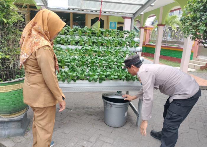 Polsek Candi Polresta Sidoarjo Dampingi Warga Tenggulunan Candi Tanam Sawi Pokcoy