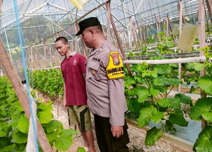 Bhabinkamtibmas Polsek Kanor Dukung Ketahanan Pangan Nasional Lewat Sambang Dialogis di Green House