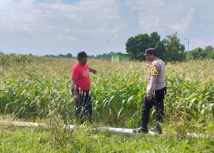 Wujudkan Swasembada Mandiri, Kapolresta Sidoarjo Gerakkan Jajaran Polsek Perkuat Ketahanan Pangan Desa