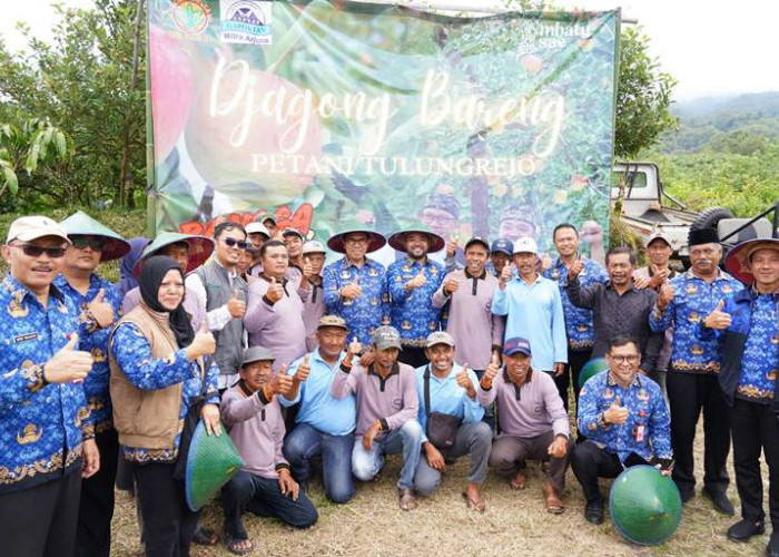 Pemkot Batu Dorong Pemulihan Produksi Apel di Desa Tulungrejo