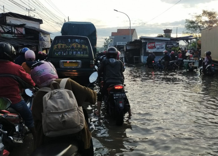 Surabaya Barat Dikepung Banjir, Belasan Pohon Tumbang Diterjang Angin