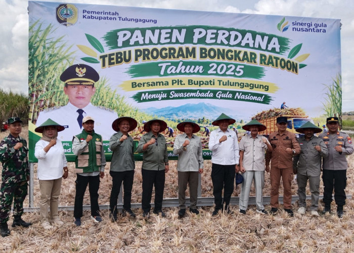 Plt Bupati Ahmad Baharudin Pimpin Panen Perdana Hasil Ratoon Tebu Tahun 2025 di Tulungagung