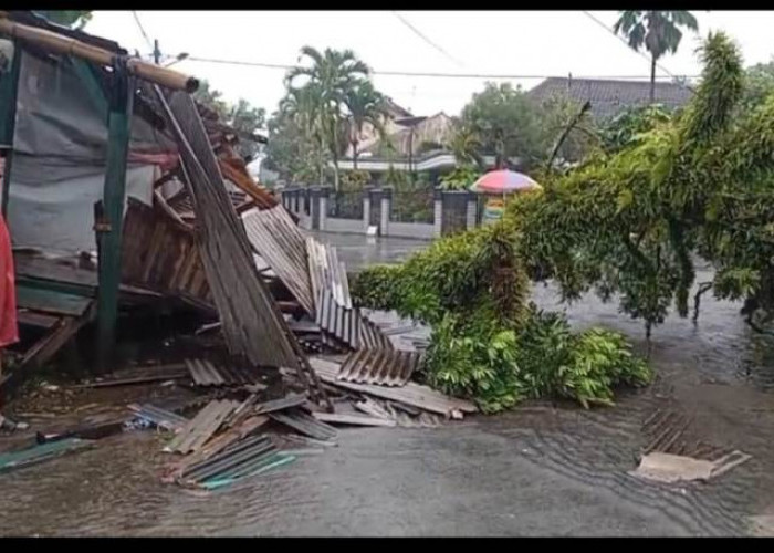 Puting Beliung Jabung Malang Rusak Lima Rumah Warga