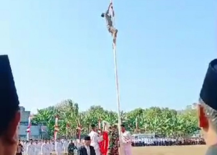 Aksi Heroik Petugas Satpol PP Paciran Lamongan Panjat Tiang Bendera