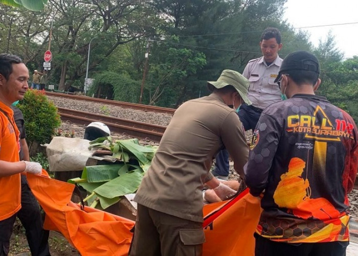 Lansia Tewas Tertabrak KA Jayabaya di Pelintasan Hutan Kota Pakal Surabaya