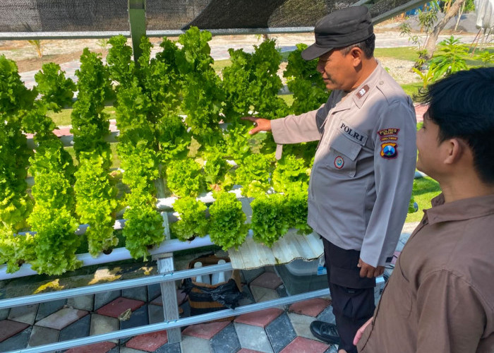 Bhabinkamtibmas Karangjati Monitoring Selada Hidroponik Warga, Dukung Ketahanan Pangan di Ngawi