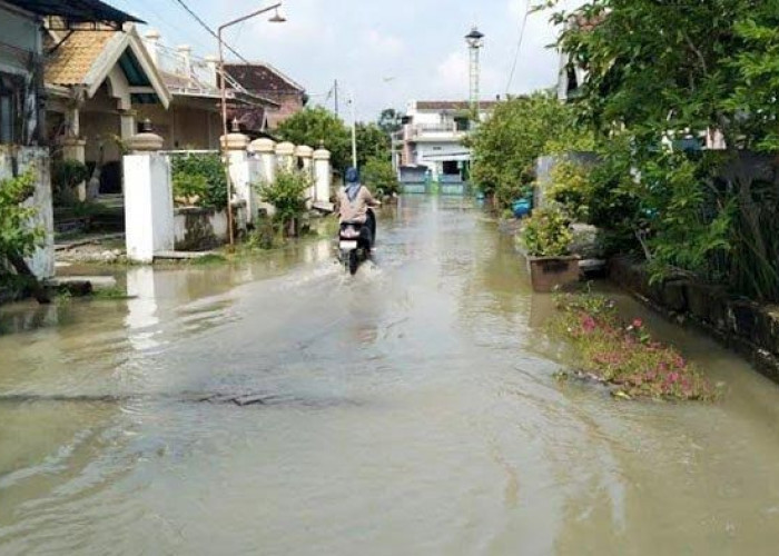 Anak Kali Lamong Meluap, Sejumlah Wilayah di Gresik Terendam