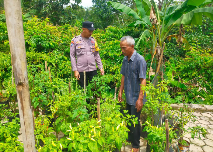 Bhabinkamtibmas Sine Intensifkan Monitoring Pekarangan Pangan Bergizi, Dukung Ketahanan Pangan di Ngawi 