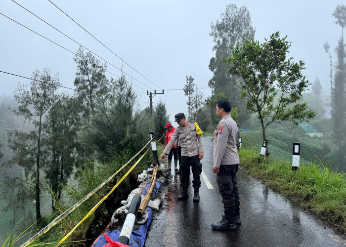 Kecelakaan di Jalur Bromo, Jeep Terjun hingga 250 Meter