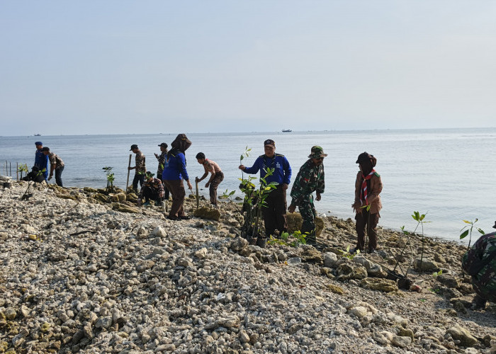 Kodim Lamongan Tanam 1.000 Mangrove di Pantai Pengkolan, Ratusan Warga Turun Tangan
