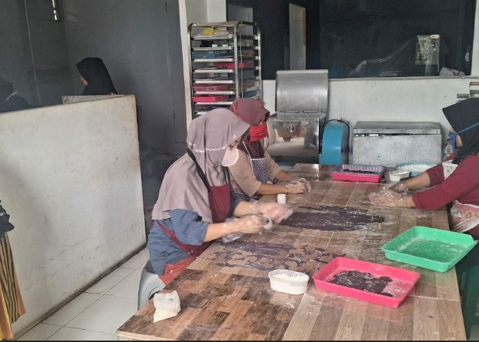 Berbekal Pinjaman Modal dan Pendampingan BRI, Perempuan Tangguh Ini Dirikan Kelompok Wanita Tani