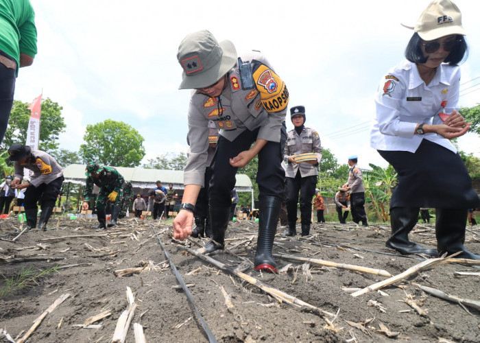 Launching Gugus Tugas Polri Mendukung Ketahanan Pangan, Kapolres AKBP Mario Tanam Jagung