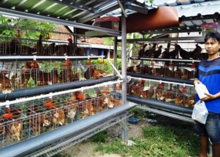 Sinergi Membangun Negeri Lewat Kontribusi Nyata PEPC Entaskan Kemiskinan di Bojonegoro