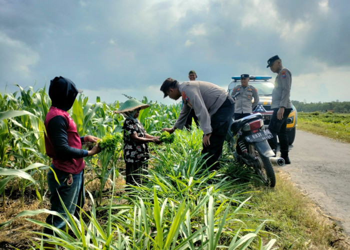 Antisipasi Dampak El Nino, Personel Polsek Tempeh Turun ke Sawah Dialog Bersama Petani Kaliwungu