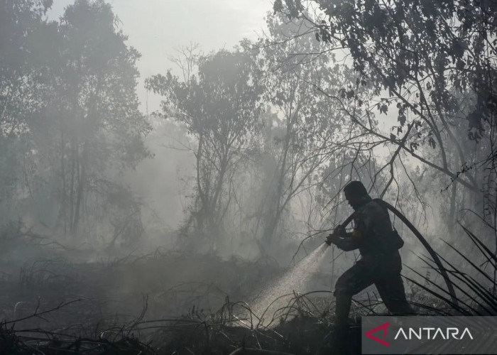 14.167 Personel TNI Dikerahkan Tangani Karhutla di Seluruh Indonesia