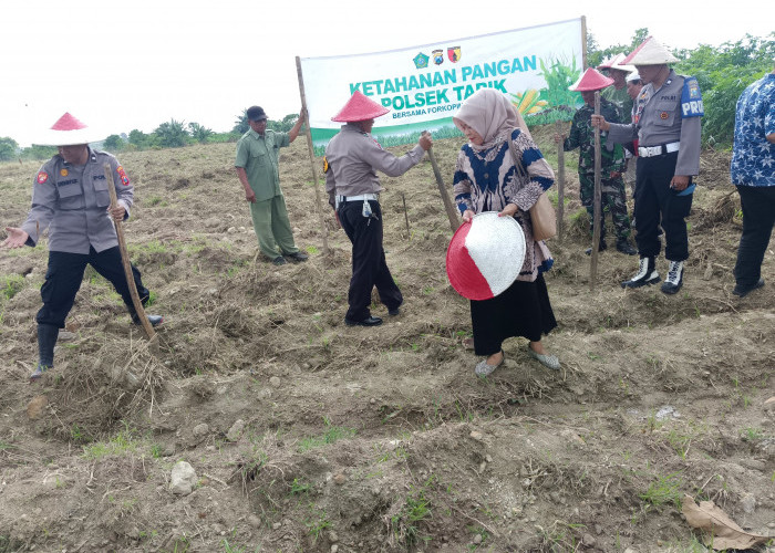 Dukung Ketahanan Pangan Melalui Penanaman Bibit Jagung di Desa Gampingrowo