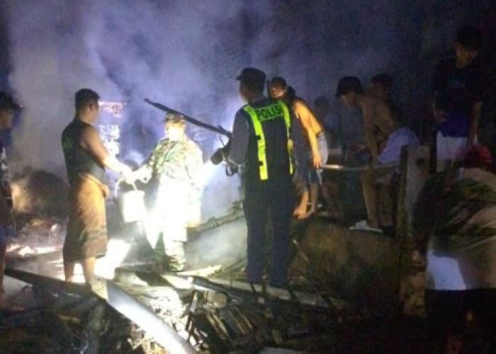 Kandang Sapi di Babat Lamongan Terbakar, 4 Ekor Sapi Mati Terpanggang