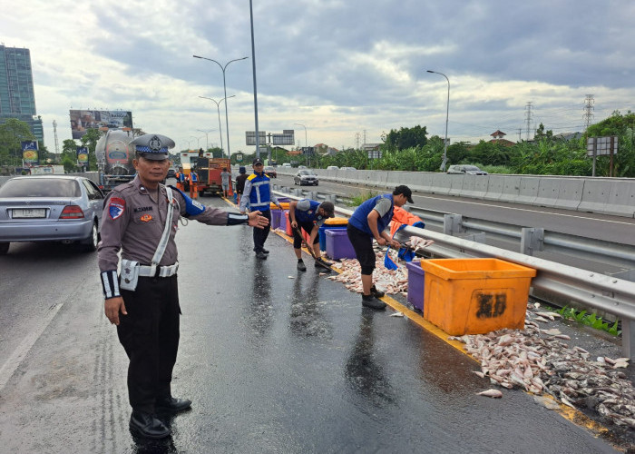 Tergelincir, Pikap Bermuatan Ikan Terguling di Tol Surabaya-Mojokerto