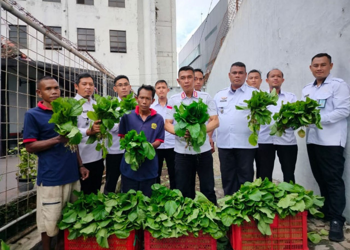 Warga Binaan Lapas Jember Berkontribusi pada Ketahanan Pangan Lewat Panen Sawi Perdana