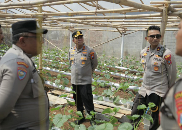Kapolres Blitar Monitoring Tananam Melon, Dukung Ketahanan Pangan