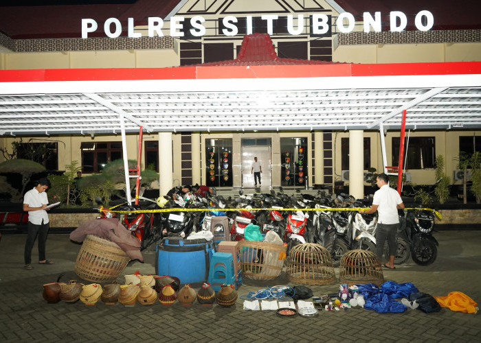 Polres Situbondo Tetapkan 4 Tersangka Judi Sabung Ayam di Mangaran