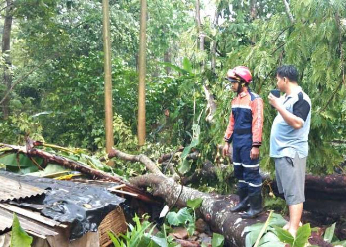Belasan Rumah Rusak, Gardu Listrik Roboh Diterjang Puting Beliung di Pasuruan