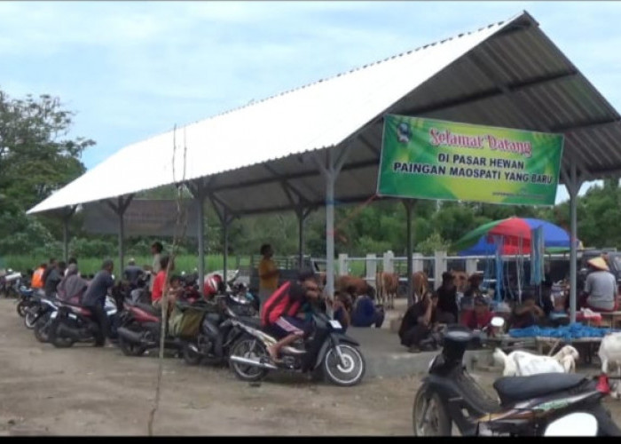 Disperindag Magetan Sukses Relokasi Pasar Hewan Pahingan Maospati
