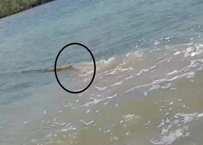 Temukan Pipa Misterius di Laut, Nelayan Banyuglugur Khawatir Rusak Ekosistem Perairan