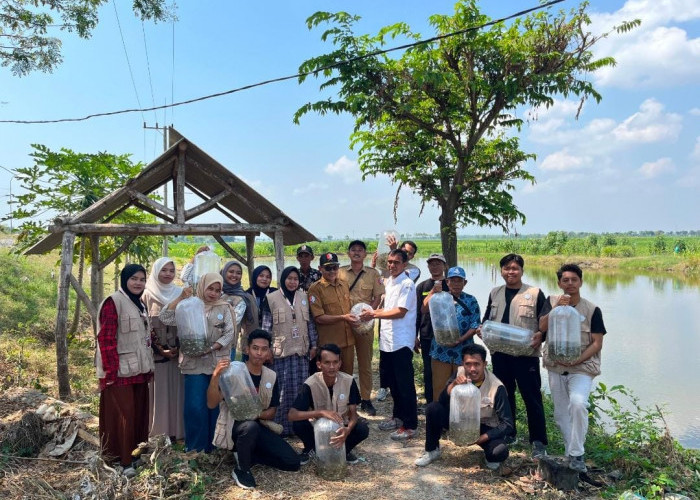 Gandeng Disnakkan, Mahasiswa KKN STIT Muhammadiyah Bojonegoro Tebar 10 Ribu Ikan di Embung Pilang
