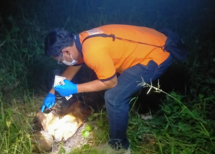 Geger! Pemancing Temukan Kerangka Manusia Tanpa Identitas di Sememi Surabaya